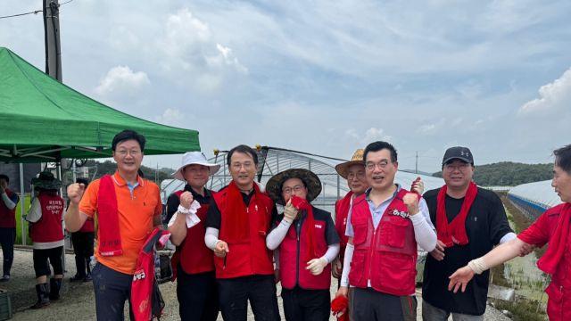 손범규 남동갑 당협위원장 등 당원 60명, 당진 딸기농장 수해복구 나서