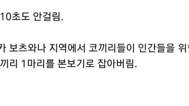 초대형 코끼리 사냥에 걸리는 시간