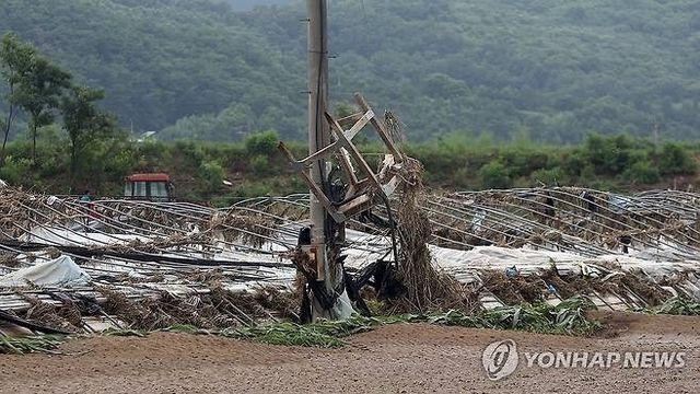 실종자 수색·복구 바쁜 산청군, 수해폐기물 대량 발생 '골머리'