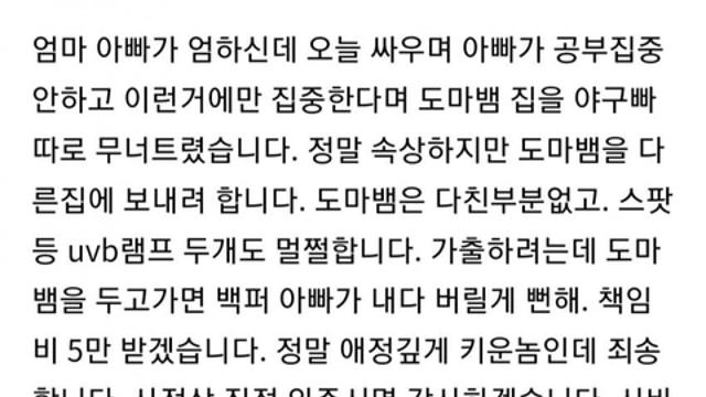 책임비 5만원 받고 동물나눔 하려는 중학생