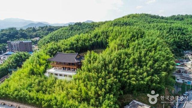 담양 가볼만한곳, 푸른 대나무 숲과 메타세쿼이아 길의 낭만