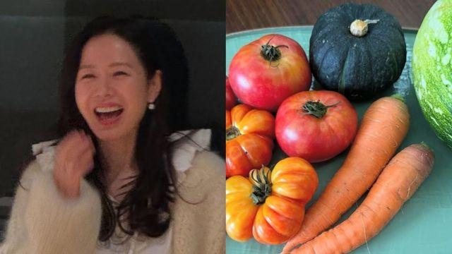 ‘현빈♥’ 손예진, 직접 재배한 유기농 채소 자랑…“건강해질 수밖에”