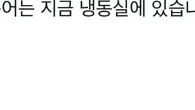 부산 문어.mp4,,