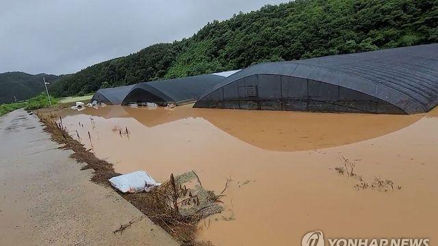 농식품부, 호우 피해 농가 추정보험금 50% 선지급