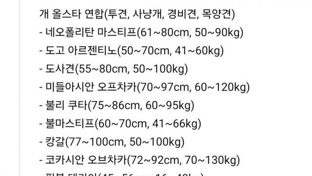 댓글5600개 달린 시베리아 호랑이 vs 개 올스타 연합 9마리 