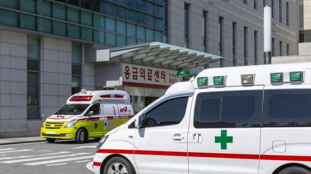 고양 도로서 무단횡단하던 50대 남성 포르쉐에 치여 숨져