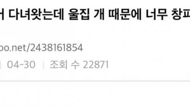 펫페어에서 어그로 끈 우리집 개.
