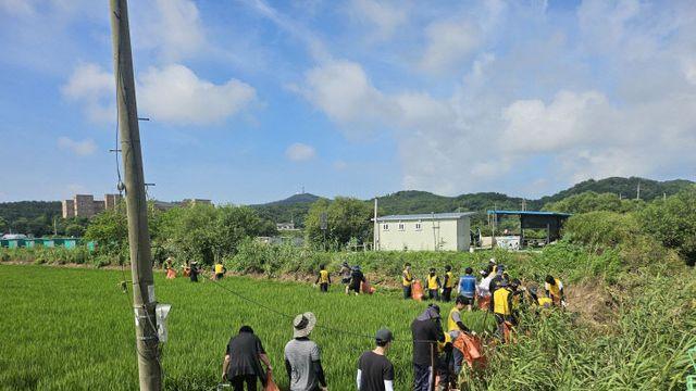인천 옹진군 영흥면, 폭우 피해 농경지 및 장경리 해수욕장 정비