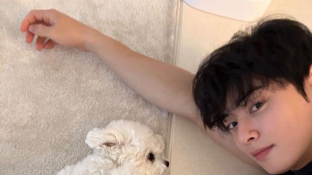 여름 향수 뭐 뿌려야 할까? 차은우와 NCT 도영이 선택한 그 향