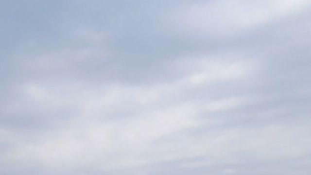중앙분리대에 올라탄 장갑차