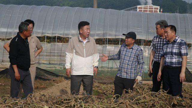 청주시 농업정책국·청주랜드관리사업소, 수해 농가 찾아 일손 도와