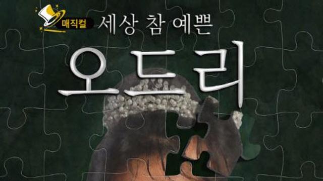 '세상 참 예쁜 오드리' 매직컬로 재탄생…김경란·정애연 열연