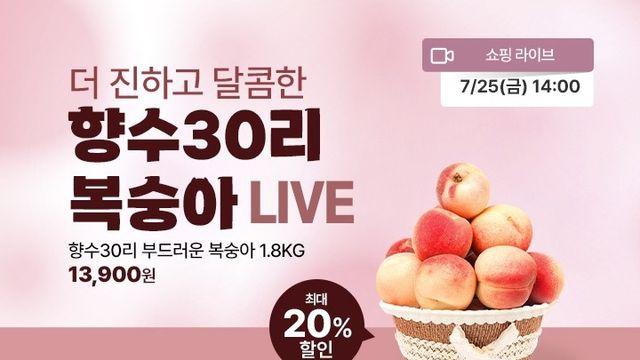 옥천군, 포도복숭아축제 온라인 기획관 운영
