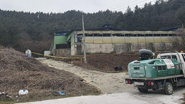 소 63마리 굶어 죽게 한 30대 농장주, 구속영장 기각