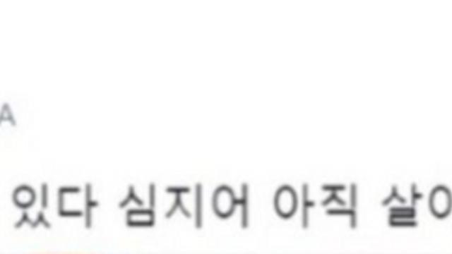 버스 기사님이 소리지르심.