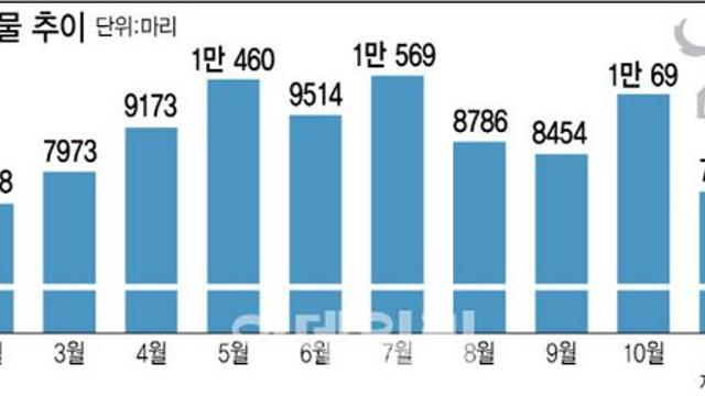 가족이라던 ‘멍냥이’..매일 293마리 버림받는다