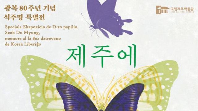 국립제주박물관, 광복 80주년 기념 석주명 특별전 ‘제주에 나빌레라’