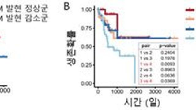 구강 세균 ‘푸조박테리아’, 대장암 예후 악화시킨다