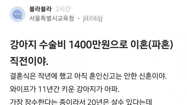 강아지 수술비로 파혼위기