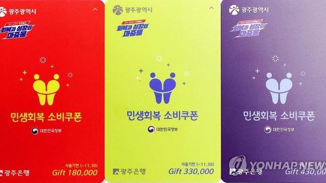 '대통령질타' 색깔차별 소비쿠폰, 공직사회 점검시스템 도마