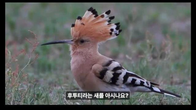 배가 고프면 동생을 잡아먹어라