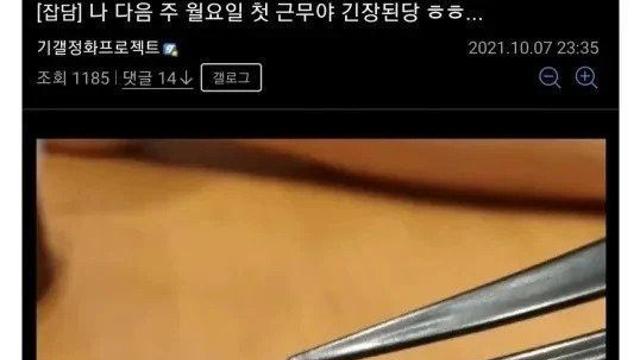 공무원 합격한 공무원갤 파딱 