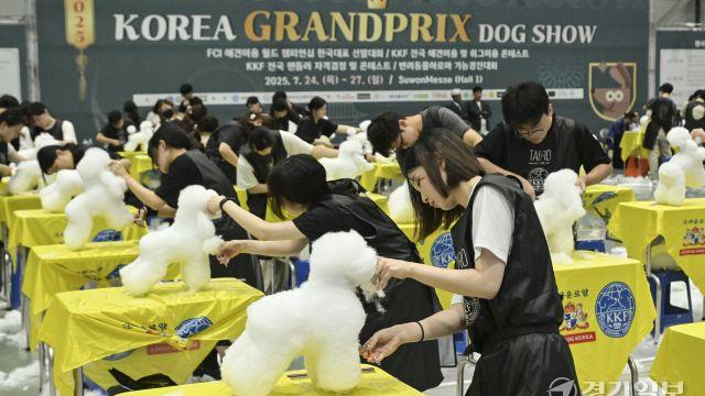 2025 코리아 그랑프리 도그쇼, 애견 미용에 집중하는 참가자들 [포토뉴스]