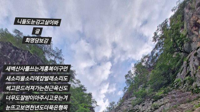 [보감과의 동행97]   니들도눈감고살아봐