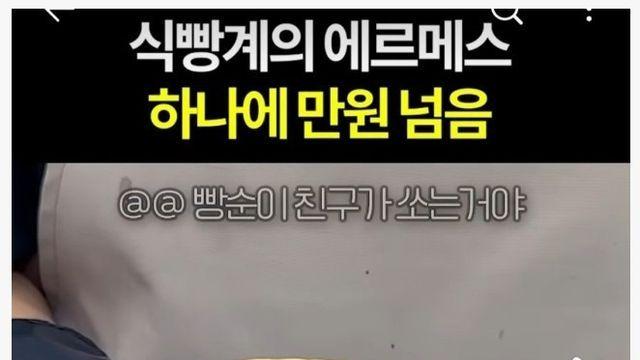 한개에 10000원 이라는 식빵계의 에르메스