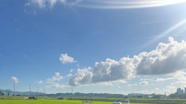 폭우로 난리났던 서산 근황 