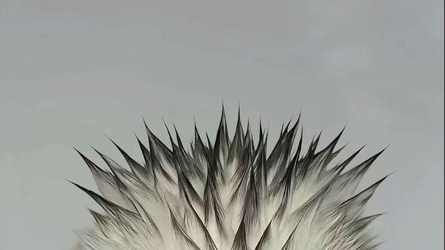 학교 다닐 때 졸라 독한 선생님 머리