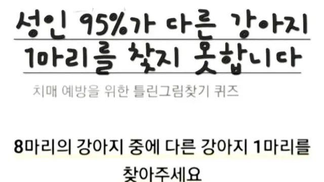 현재 불타고 있다는 치매예방 틀린그림찾기