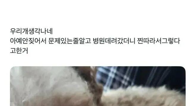 병원에서 인정한 찐따