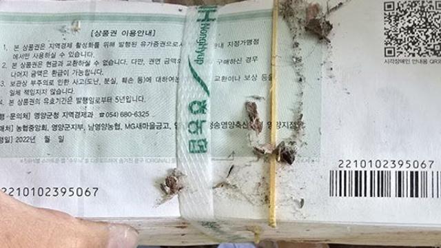나무 대신 '지역화폐'로 땔감…경찰, 금융기관 직원 조사