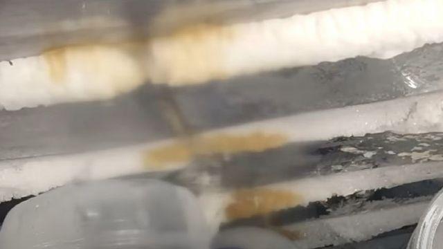 편의점 냉동고에 먹던 컵라면 국물 부어버린 여성