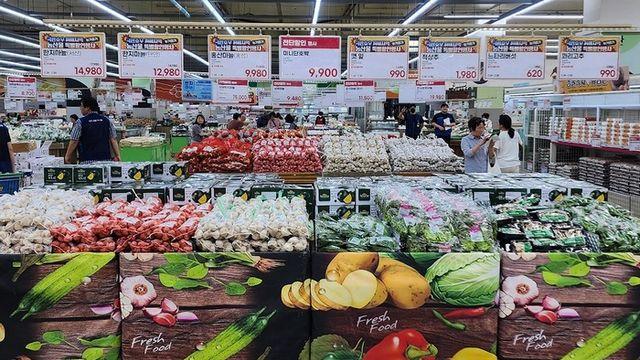 농협, 수해 농가 돕는다… 수도권 하나로마트서 농산물 특별 할인전