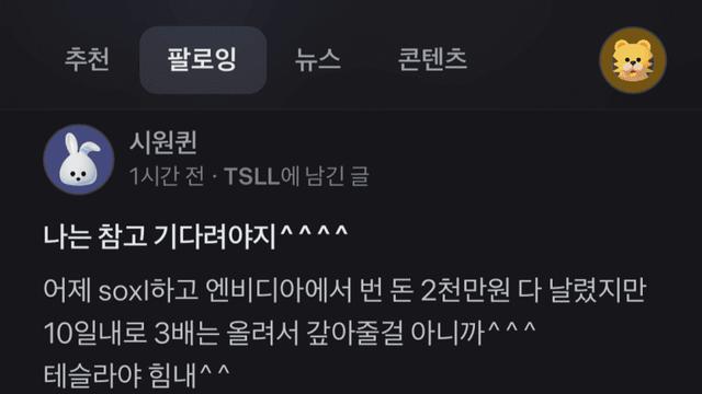 6억원을 테슬라 레버리지에 몰빵한 사람 ㄷㄷㄷ
