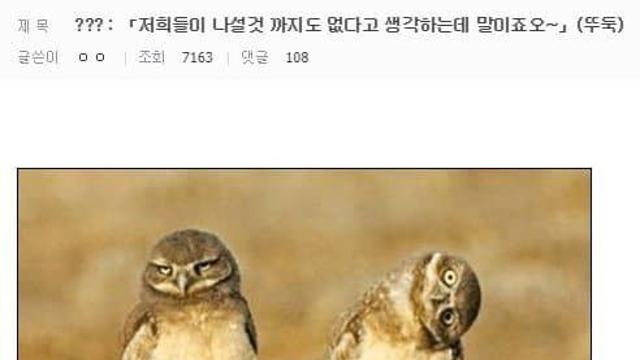 애니메이션 클리셰 대사 모음