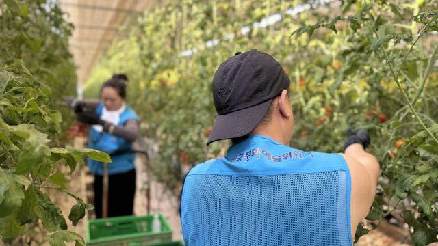 폭우 피해 `나주 농가` 찾은 아르코…긴급 복구 활동
