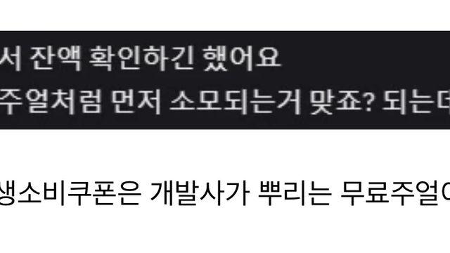 민생 소비쿠폰을 이해한 오타쿠,,