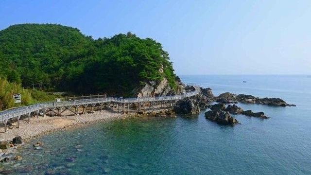 정동진 가볼만한곳, 해돋이 명소에서 만나는 바다의 낭만