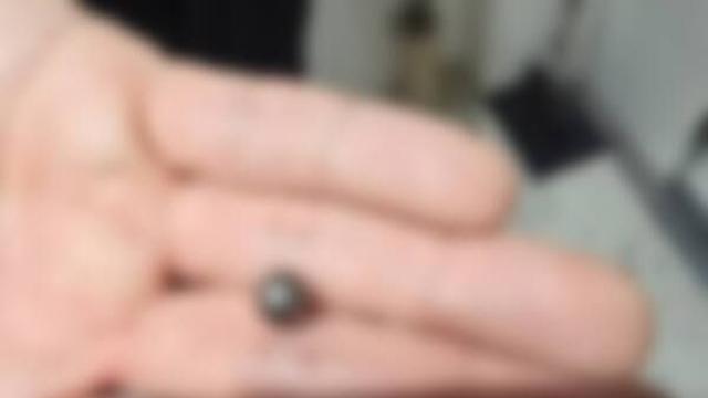 사제총기로 아들 살해한 60대 검색·통화기록 등 압수수색