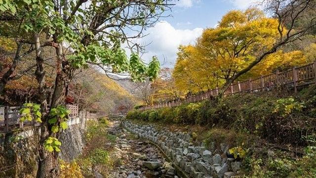 동두천 가볼만한곳, 소요산의 비경과 자유수호평화박물관에서 역사 탐방
