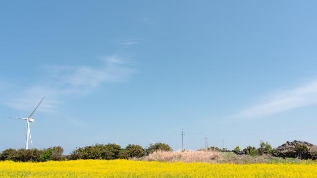 【亚洲人之声】褪色的避暑胜地：济州岛为何失去吸引力