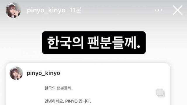 PINYO 피뇨 인스타 사과문 올라왔네