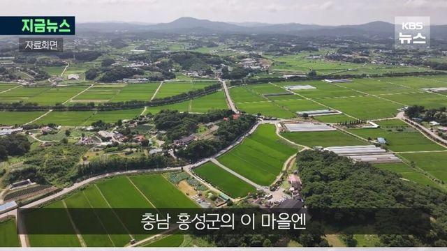 “소비쿠폰 못 탄 거여? 이거 써유” 충남 홍성에서 일어난 일