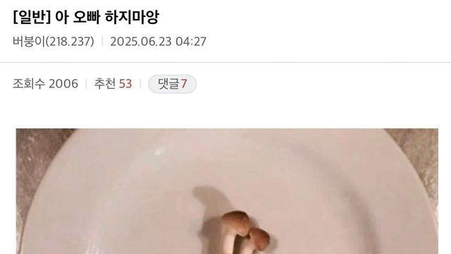 디시 버섯갤 평균 ㄷㄷ