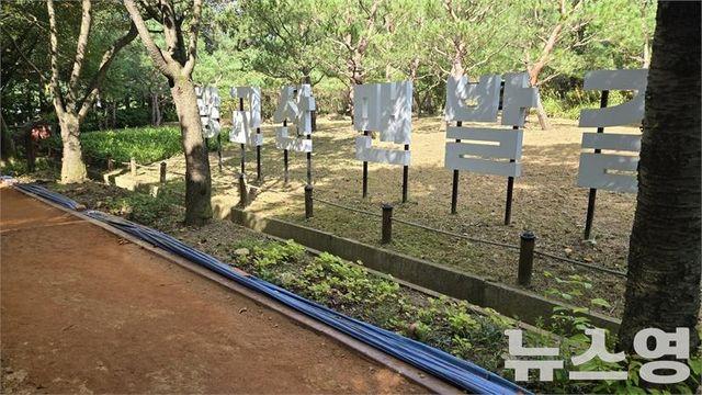 수원 광교산 황톳길, 비판 10일 만에 ‘걷고 싶은 길’로...'빠른 행정, 지속 관리가 과제'