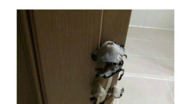 신축 아파트 레전드,,ㅋ