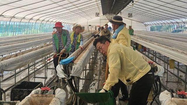 박찬대, 전북 순창 수해 현장서 '구슬땀'…